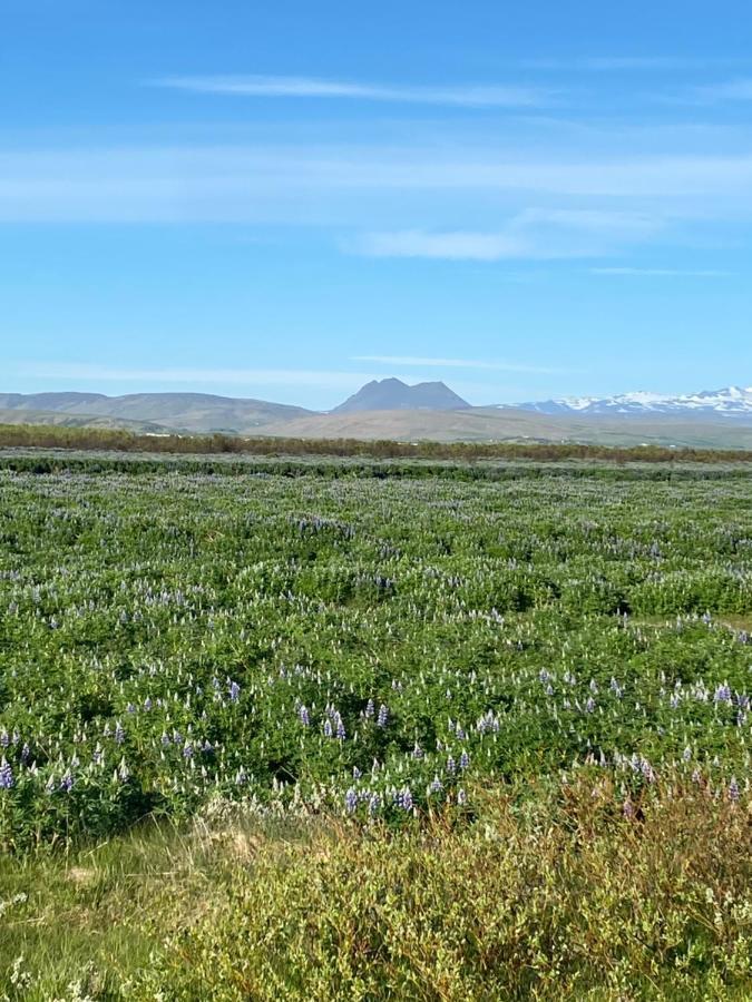 Uxahryggur Vila Hvolsvöllur Exterior foto